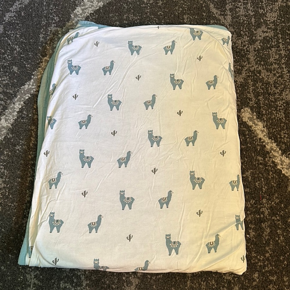 Kyte Baby Toddler Blanket